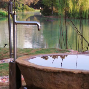 bison pumps landscaping design well pump made in America